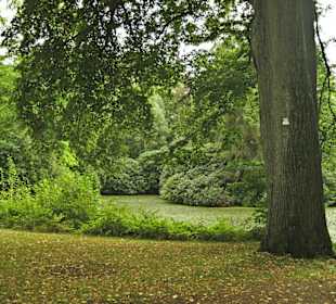 Кладбище Ольсдорф, Гамбург, 16 сентября 2013 года