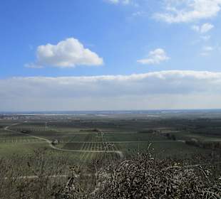 Blick auf die schöne Pfalz
