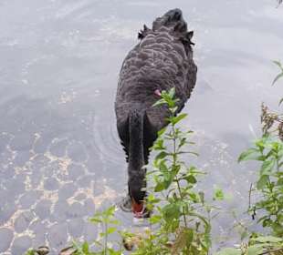 Bilder aus dem ZOO