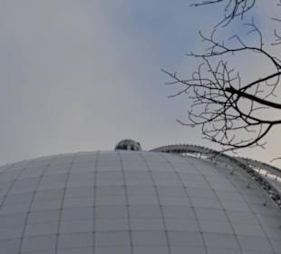 Skyview Globe