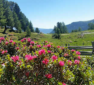 Wandern Bad Kleinkirchheim