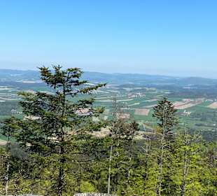 Wandern Hohen Bogen Neukirchen