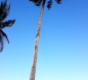Pongwe Strand