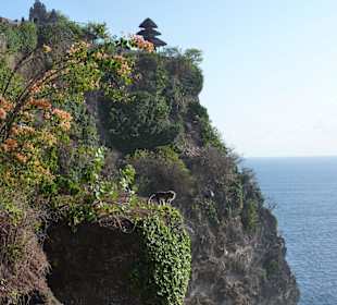 Da issa wieder,der Ulu Watu