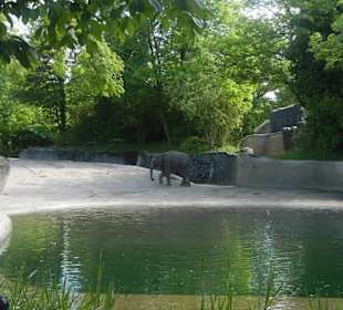 Tierpark Hagenbeck