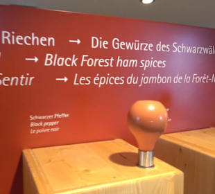 Schwarzwälder Schinkenmuseum