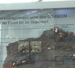 Ozeaneum