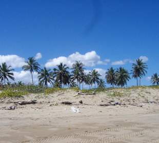 Strandspaziergang 1