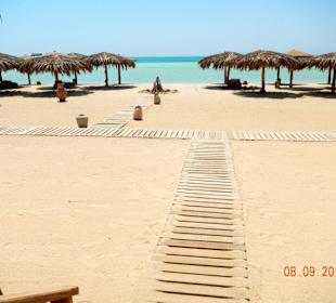 Blick vom Restaurant