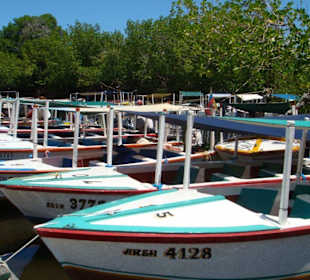 Laguna Restinga