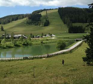 Wandern Birkfeld