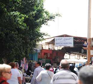 Der Marche Principal