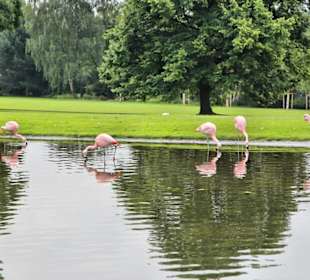 Westfalenpark Dortmund
