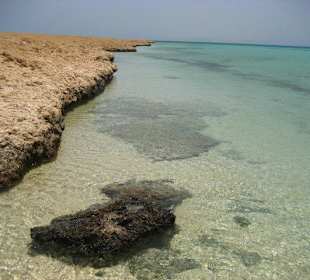 Die verlassene Insel