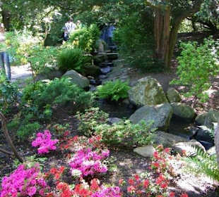 Ogród japoński