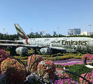 Miracle Garden