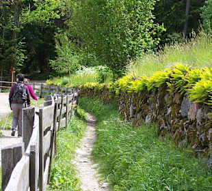 Viel Natur und gute Wege