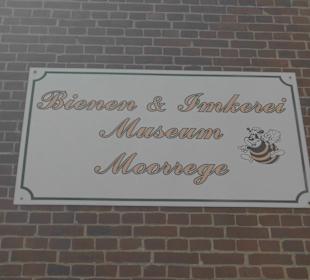Bienenmuseum Moorrege