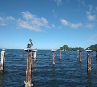 RH Tours Ausflüge Punta Cana 