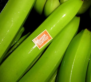 Noch feuchte Bananen mit Aufkleber