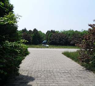 Otoczenie