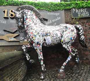 Camden