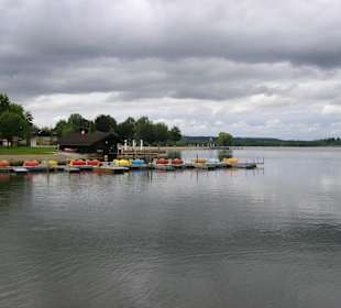 Am Waginger See