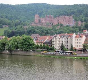 Blick von unten
