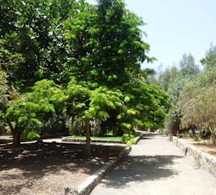 Schöner Garten