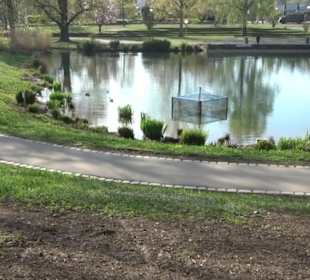 Unterer Schlossgarten Stuttgart