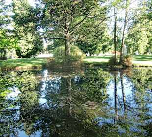 Im botanischen Garten