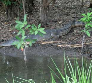 Ausflug zum Yellow River