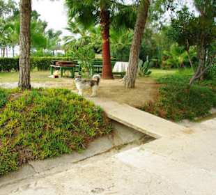 Inspirationen an d.Strandprom.entlang Nov.2010