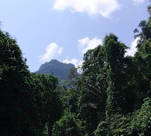 Khao Sok Nationalpark