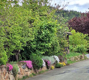 Stadtrundgang Stamsried