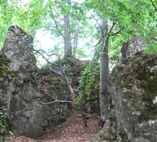 Burg Alt-Lichtenstein