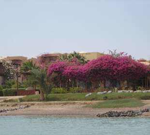Ausflug El Gouna