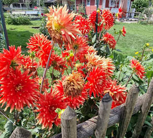 Was für eine Pracht