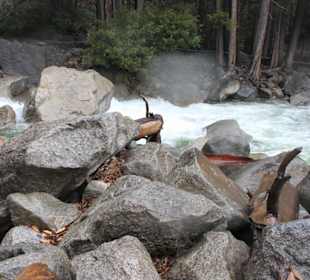 Yosemite Nationalpark