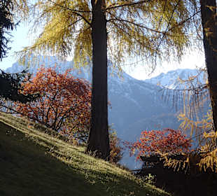Wandern Grächen