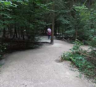 Dinosaurier Museum Altmühltal