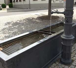 Brunnen bei der Kirche Haslach
