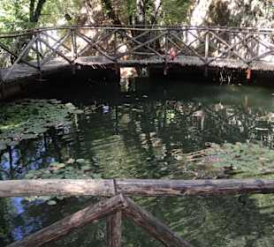 Weg durch das Schmetterlingstal
