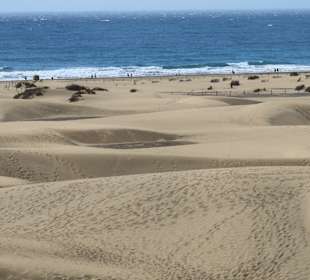 Dünen von Maspalomas
