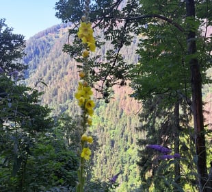 Wandern Dorf Tirol