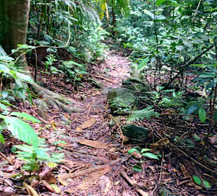 Parque Natural Obô do Príncipe
