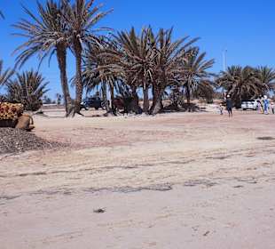 Ausflug Insel Djerba