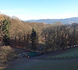 Bergtierpark Odenwald