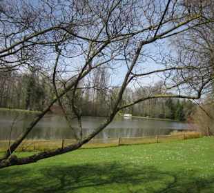 Schlossgarten Schwetzingen