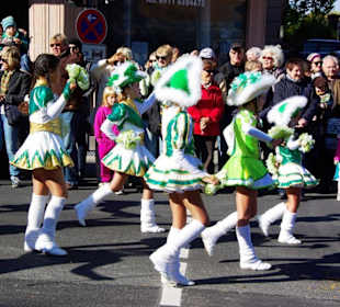 Fastnachtgesellschaften Fürth Fußgruppe